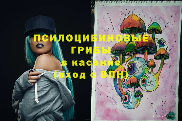 apvp Няндома