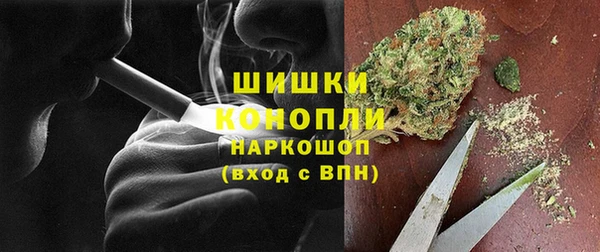 apvp Няндома