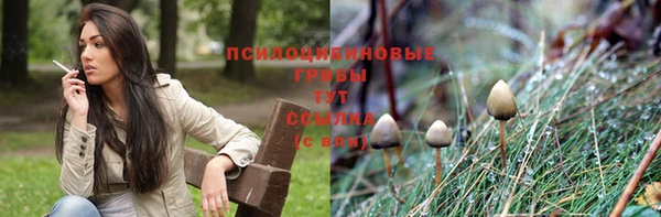 apvp Няндома
