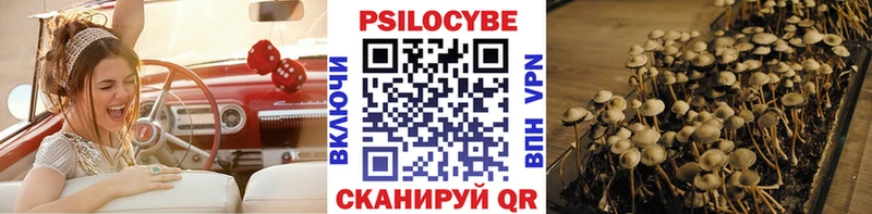 Псилоцибиновые грибы Magic Shrooms  Аркадак 