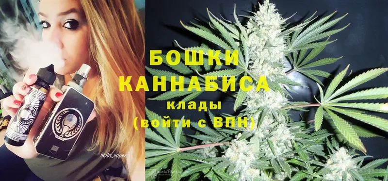 где продают   Аркадак  Бошки марихуана THC 21% 